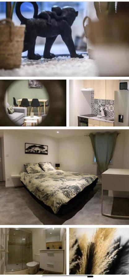 Le Boldieu- Duplex Beziers -Allee Paul Riquet- Wifi- Tv Connecte 외부 사진