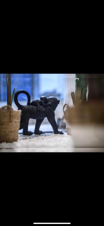 Le Boldieu- Duplex Beziers -Allee Paul Riquet- Wifi- Tv Connecte 외부 사진