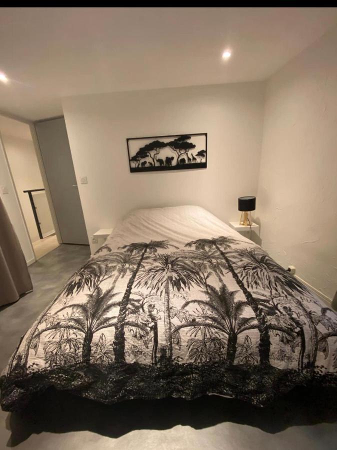 Le Boldieu- Duplex Beziers -Allee Paul Riquet- Wifi- Tv Connecte 외부 사진
